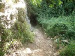 DSCF5799.JPG