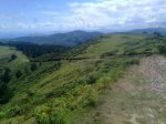23072011912_800x600.jpg