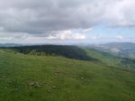 23072011915_800x600.jpg
