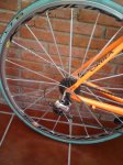 orbea 018.JPG