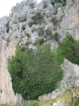 IMG_3825.JPG