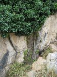 IMG_3830.JPG