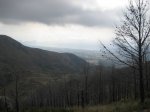 IMG_3821.JPG