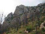 IMG_3819.JPG