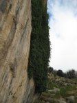 IMG_3839.JPG