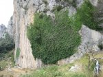 IMG_3824.JPG