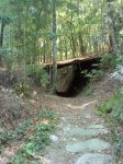 DSC03530.JPG