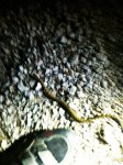 IMG_0174.JPG