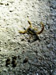 IMG_0159.JPG