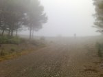 23072011681.jpg