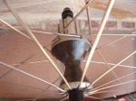 DSC05536.JPG