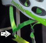 catlike02_a.JPG