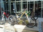 DSC07189r.jpg