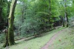 DSC_0467.JPG