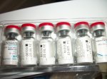 20110712.jpg