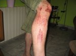 IMG_2560.JPG