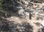 Imagen 011.jpg