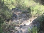 Imagen 010.jpg