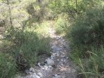 Imagen 012.jpg