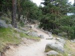 IMG_2891.JPG