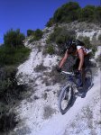 2011-07-26 10.30.35.jpg