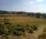 25072011507.jpg