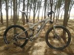 specialized-a.jpg
