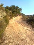 Imagen0469.jpg