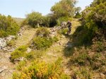 DSCN0498 (Large).JPG