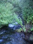 IMG_0020.JPG
