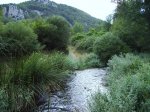 IMG_0019.JPG