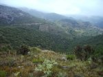 IMG_0004.JPG