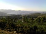 2011-07-27_19-32-04_491.jpg