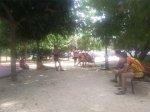 Foto0841 [50%].jpg