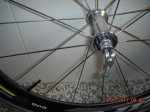 DSCN4408.JPG