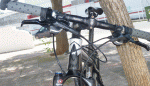 goka5.gif