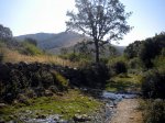 DSCN2330+.jpg