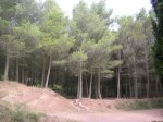 P1015250.JPG
