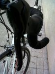 IMG00224.jpg