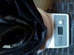 2011-07-30 10.06.34.jpg