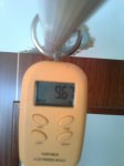 2011072603.jpg