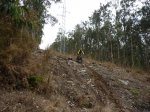 P1030212 (Copiar).JPG