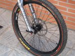 rueda dh 002.jpg