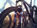 Stumpjumper (1).jpg