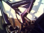 Stumpjumper (2).jpg