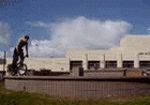 ryan_tailwhp2.gif