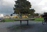 4.gif