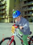 DSC02781.jpg