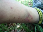IMG_1454.jpg