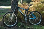 Mondraker Foxy_2.jpg